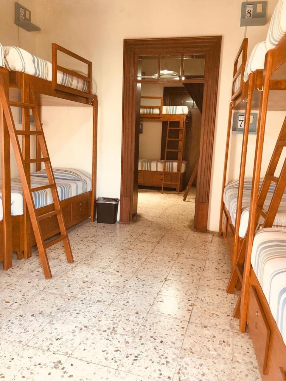 Bed in 6-Bed Mixed Dormitory Room